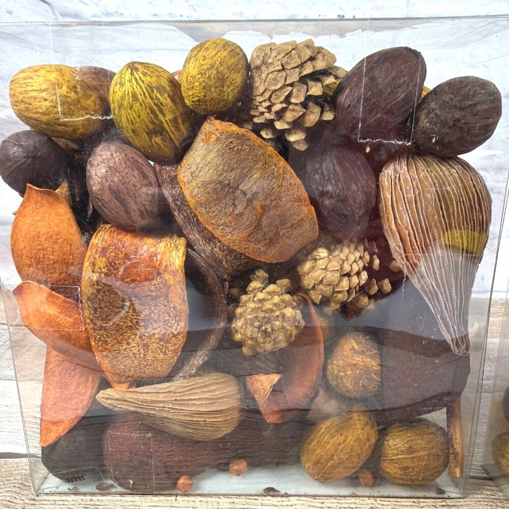 Spiced Pumpkin Potpourri World Market Fall Harvest Home Table Décor Bowl Filler - Picture 3 of 10